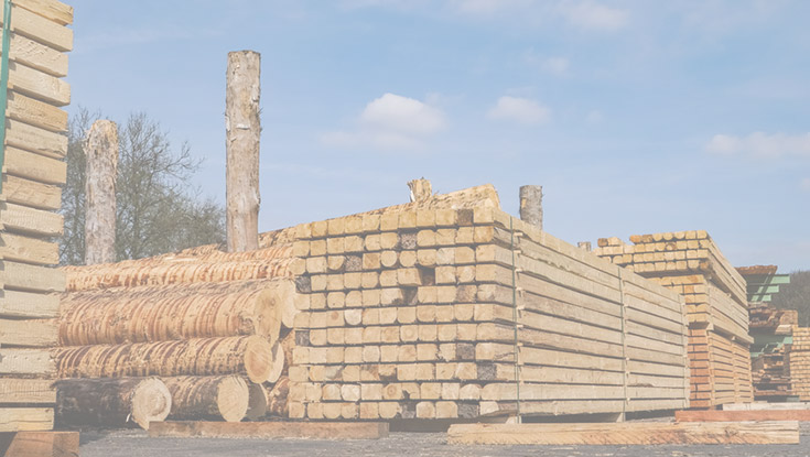 Holz-/Kunststoffverarbeitung